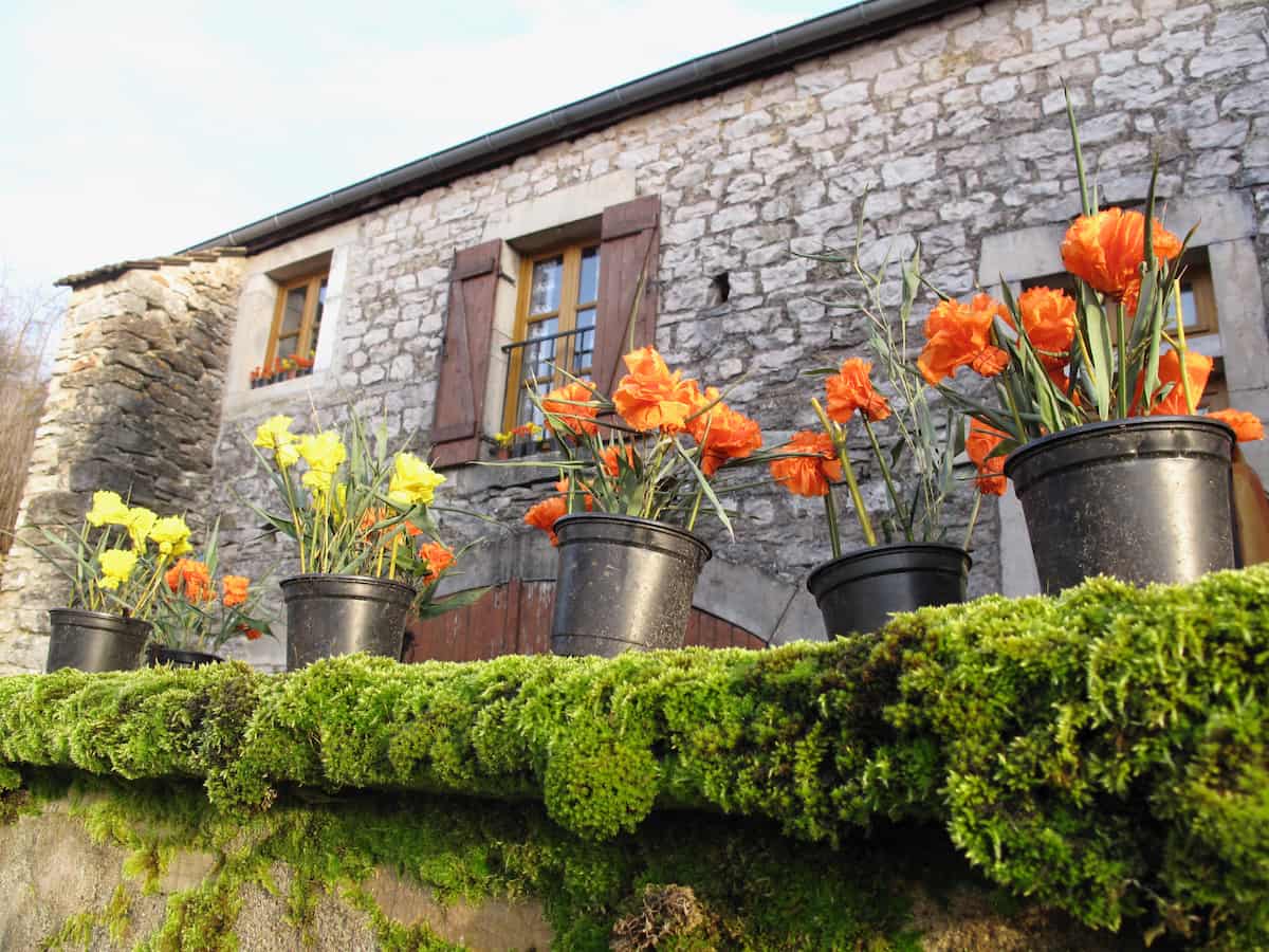 St Aubin St-Vincent wine festival Burgundy 2014 french house with plant pots and paper flowers