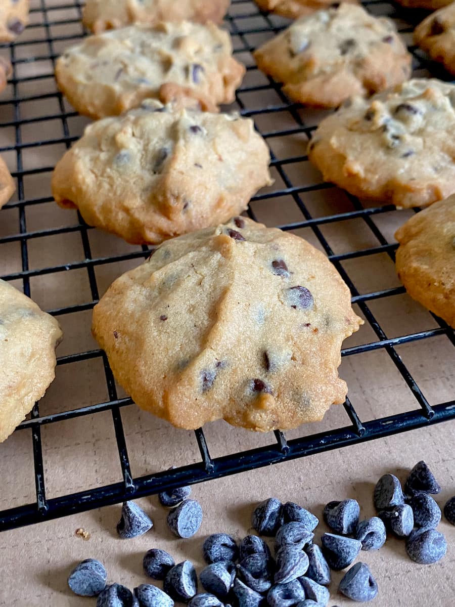 rows of cookies cooling on wire tray, studded with dark chocolate chips