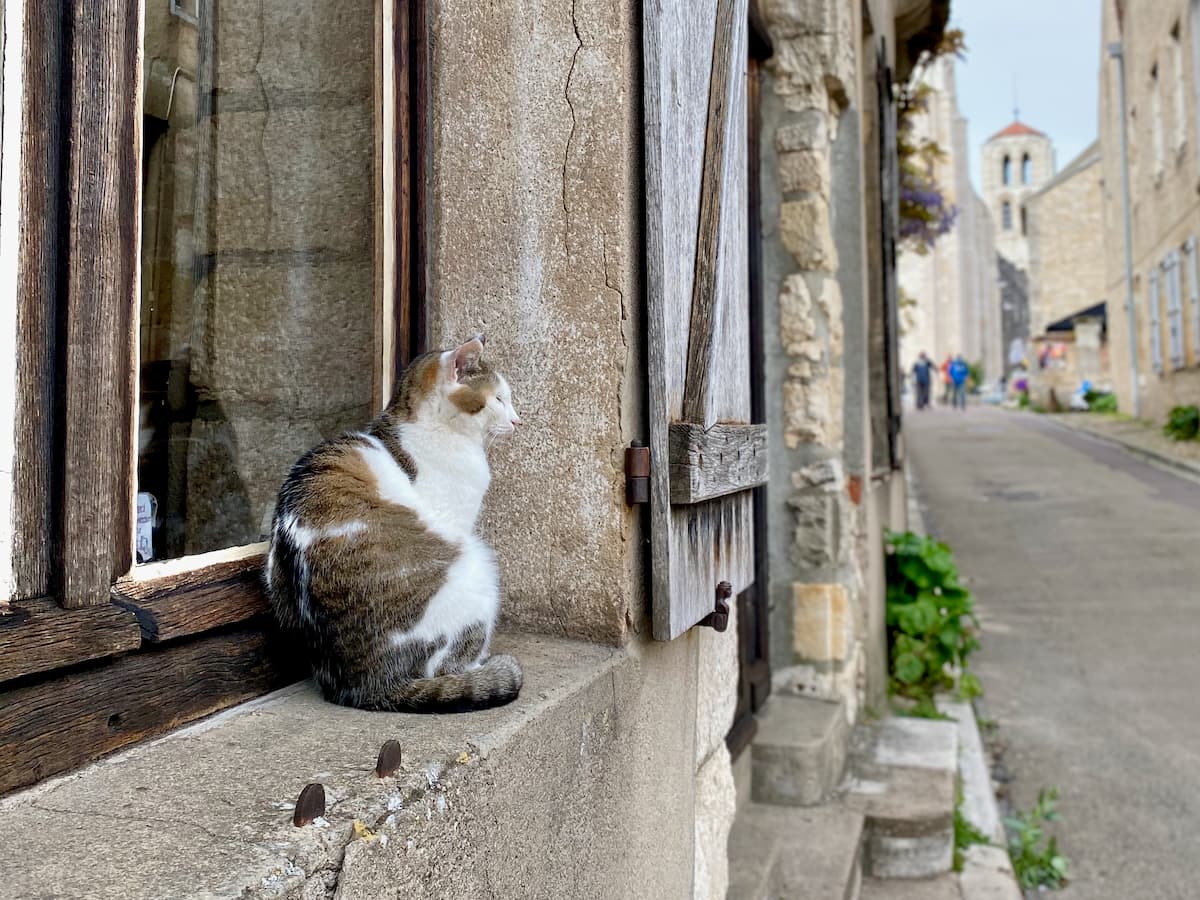 sleeping cat on a windowsill in the sleepy French Cathedral town of Vezelay in Burgundy